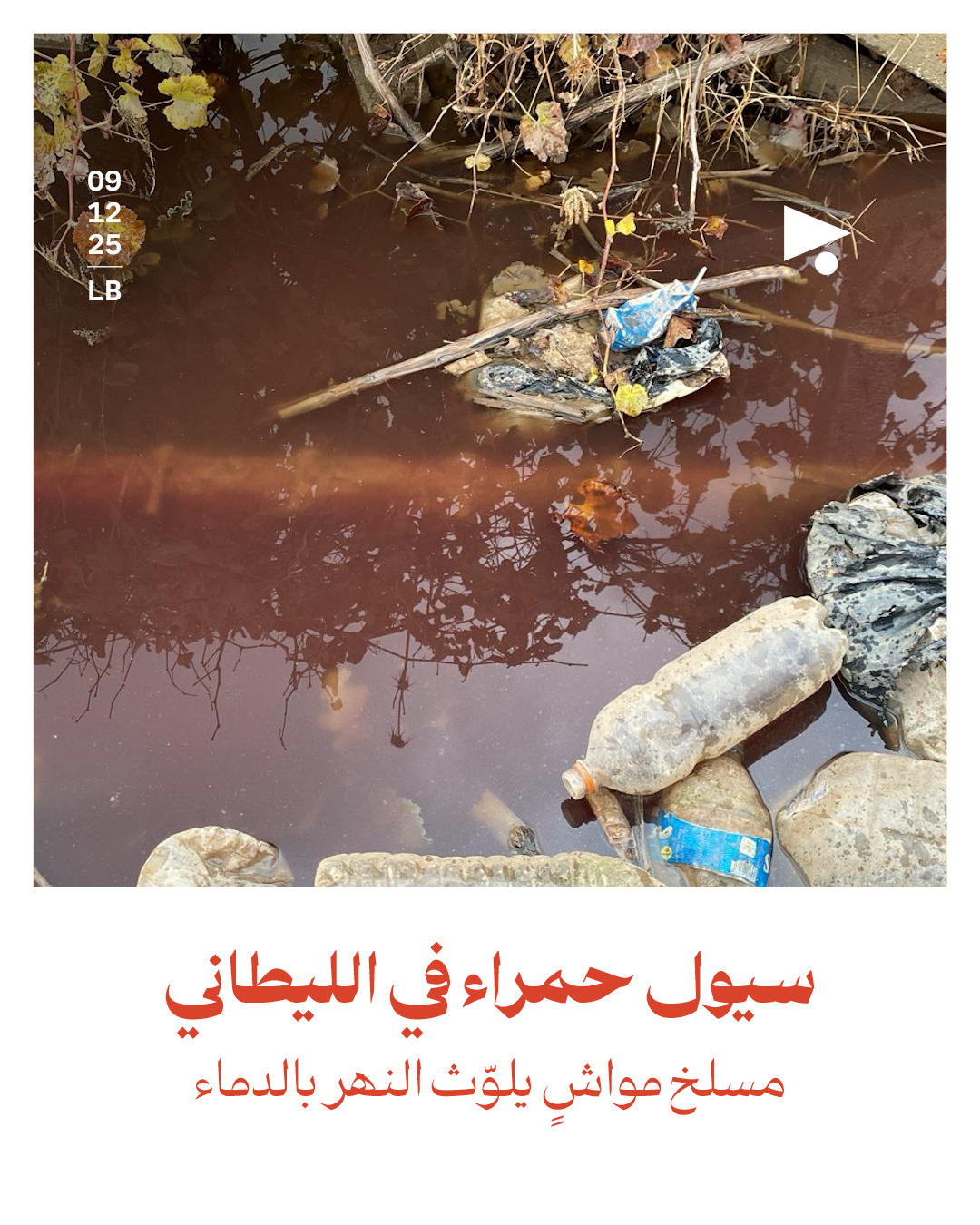 سيول حمراء في الليطاني: مسلخ مواشٍ يلوّث النهر بالدماء