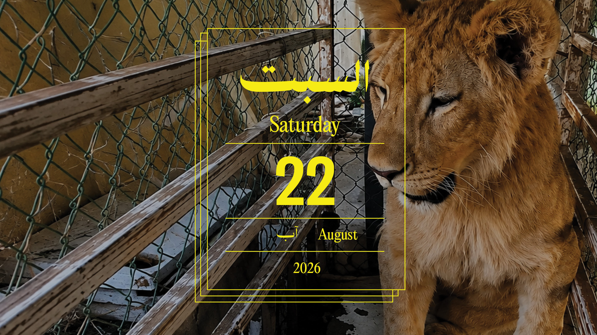 حدث اليوم - السبت 22 آب 2026