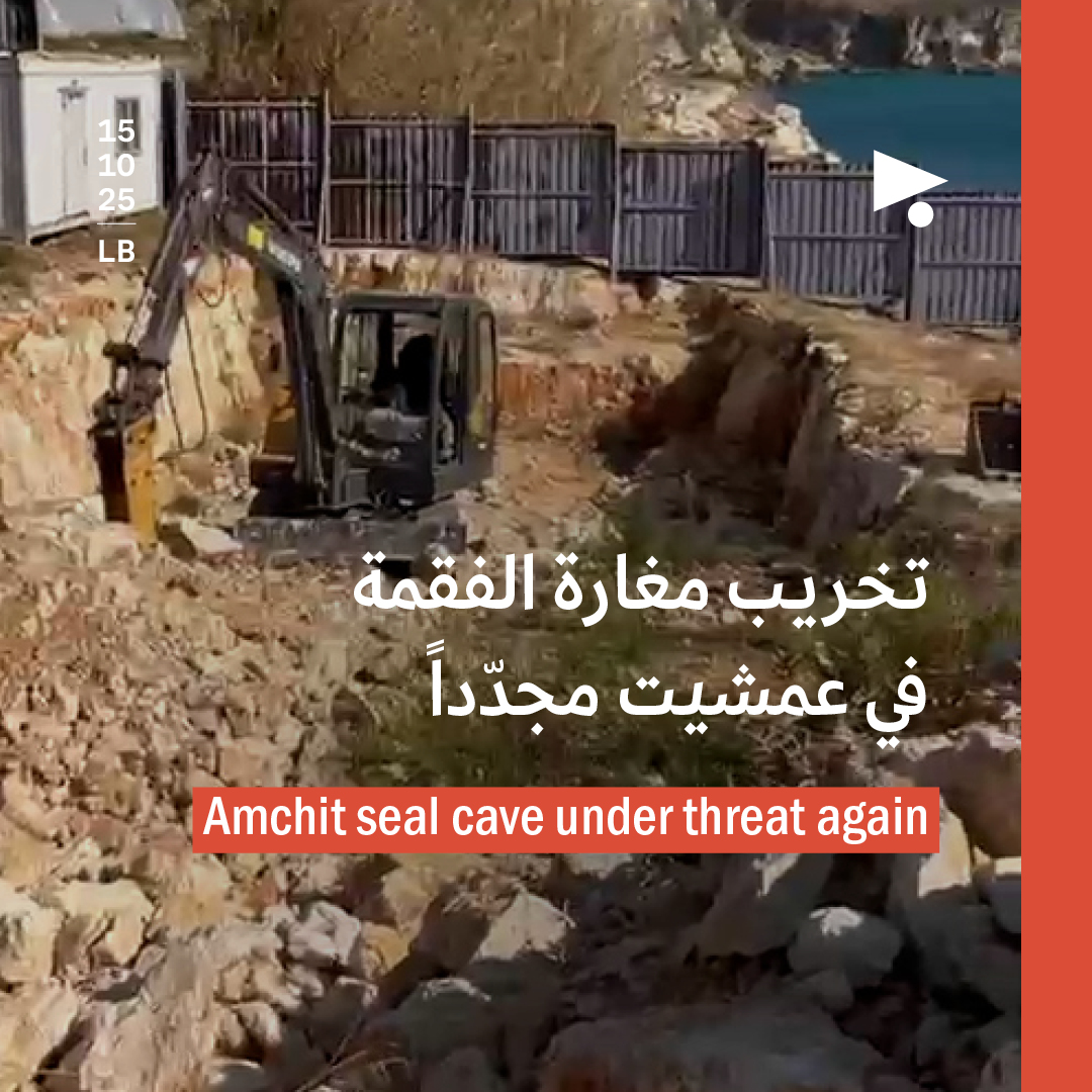 تخريب مغارة الفقمة في عمشيت مجدّداً