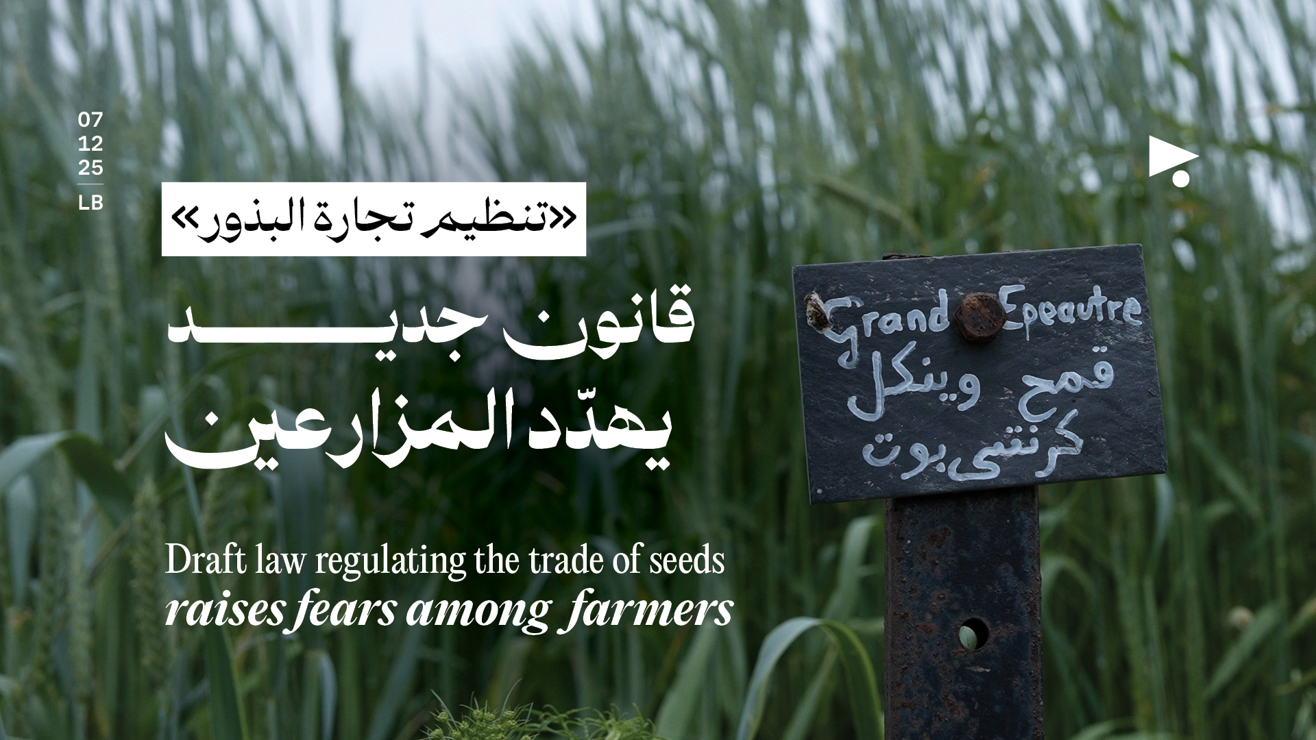 «تنظيم تجارة البذور»: قانون جديد يهدّد المزارعين
