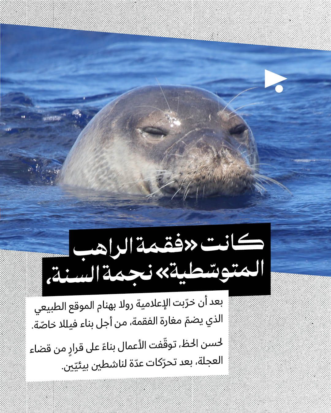 <strong>لبنان الأنيمالستيك: جولة على عالم الحيوان في سنة 2025</strong>