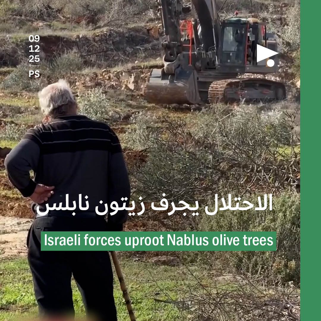 الاحتلال يجرف زيتون نابلس