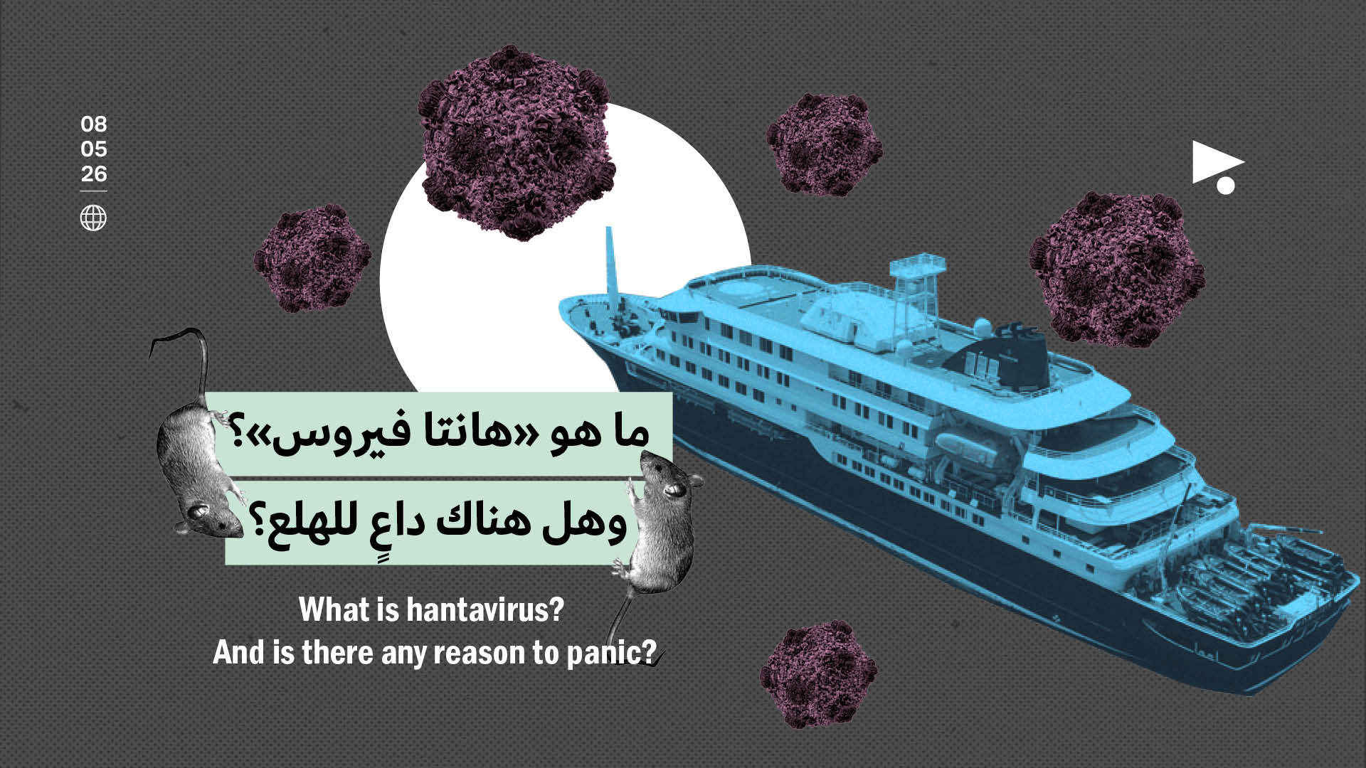 ما هو «هانتا فيروس»؟ وهل هناك داعٍ للهلع؟