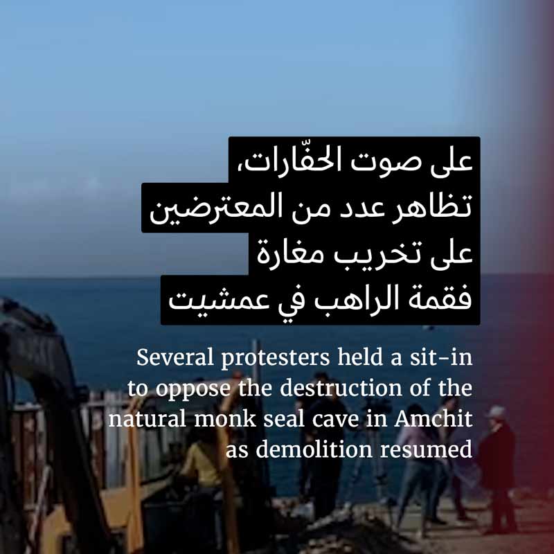 وقفة ضدّ تخريب مغارة فقمة الراهب المهدّدة بالانقراض