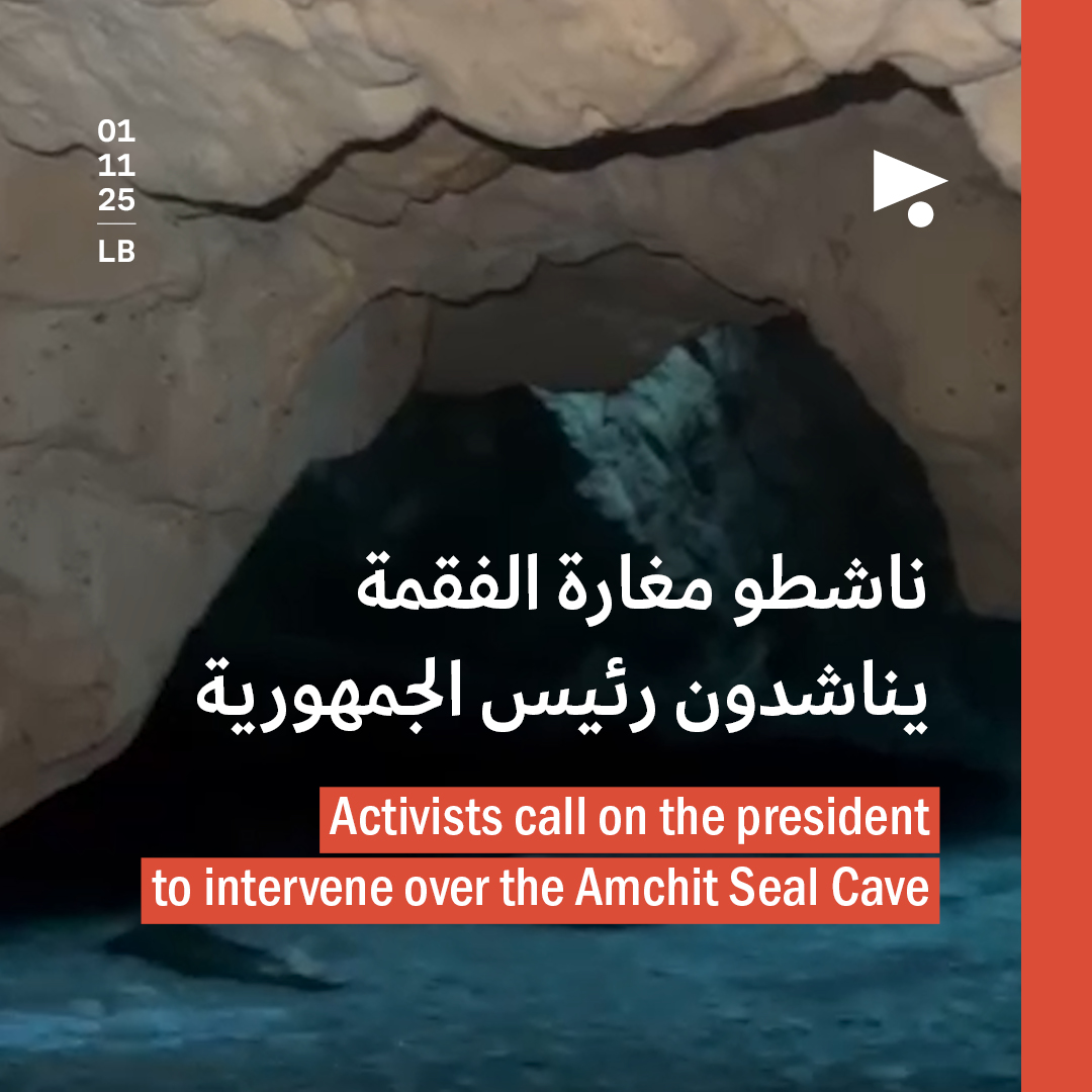 ناشطو مغارة الفقمة يناشدون رئيس الجمهورية