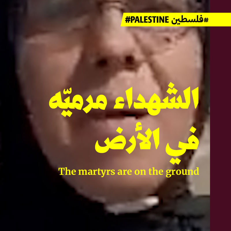 نازحون من شمال غزّة إلى جنوبها يروون المآسي