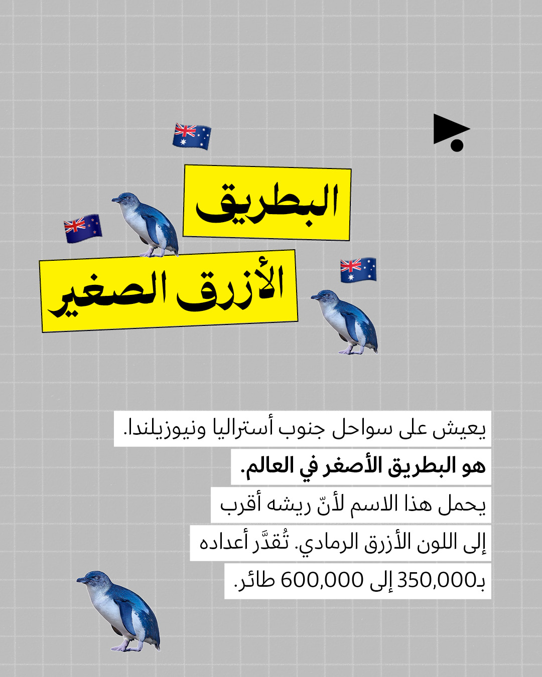 <strong>ترامب على خطأ البطريق لا يعيش في غرينلاند </strong>