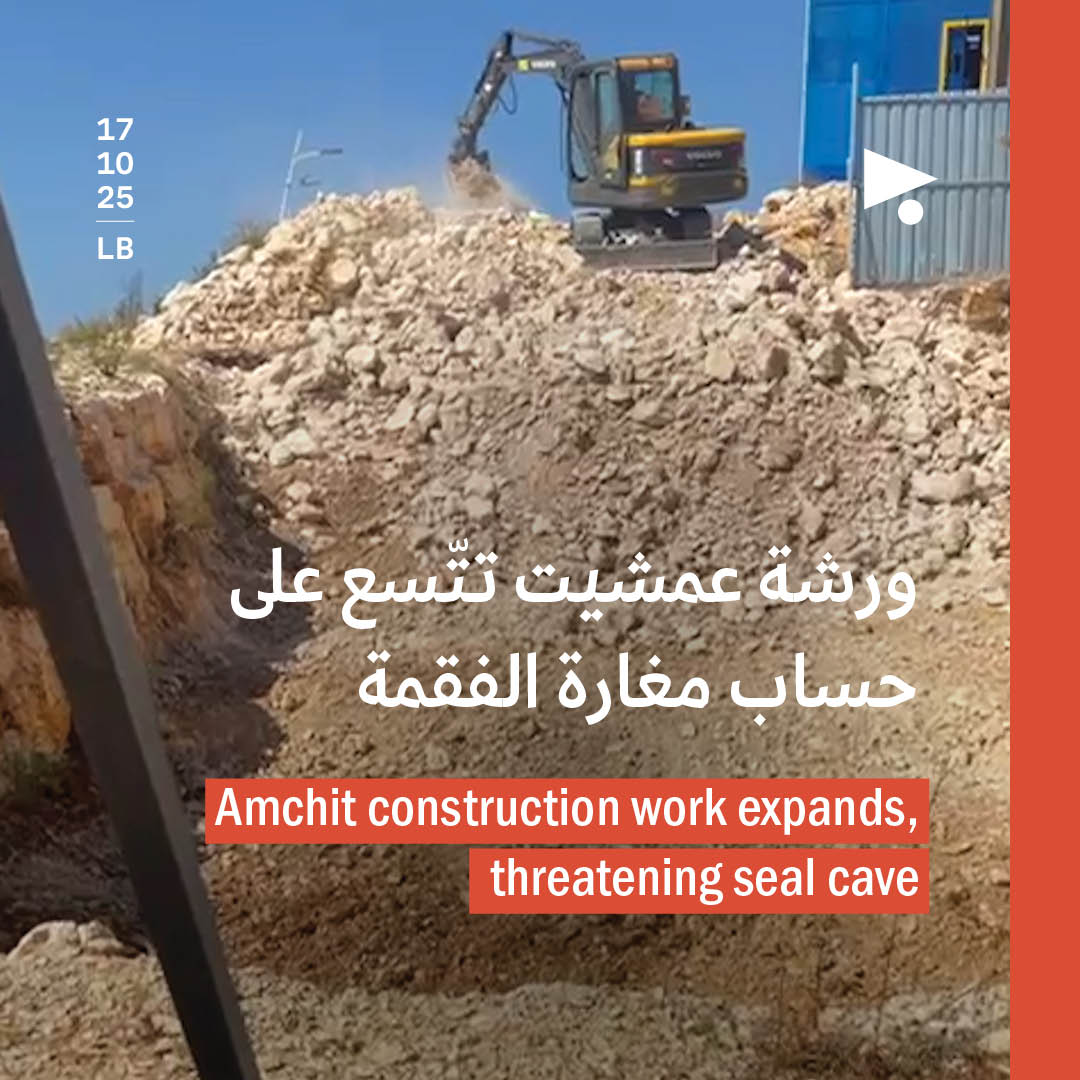 ورشة عمشيت تتّسع على حساب مغارة الفقمة