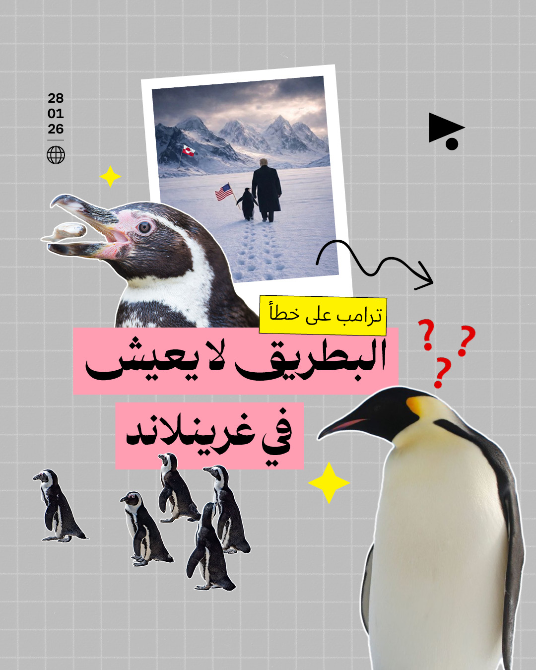 ترامب على خطأ البطريق لا يعيش في غرينلاند 