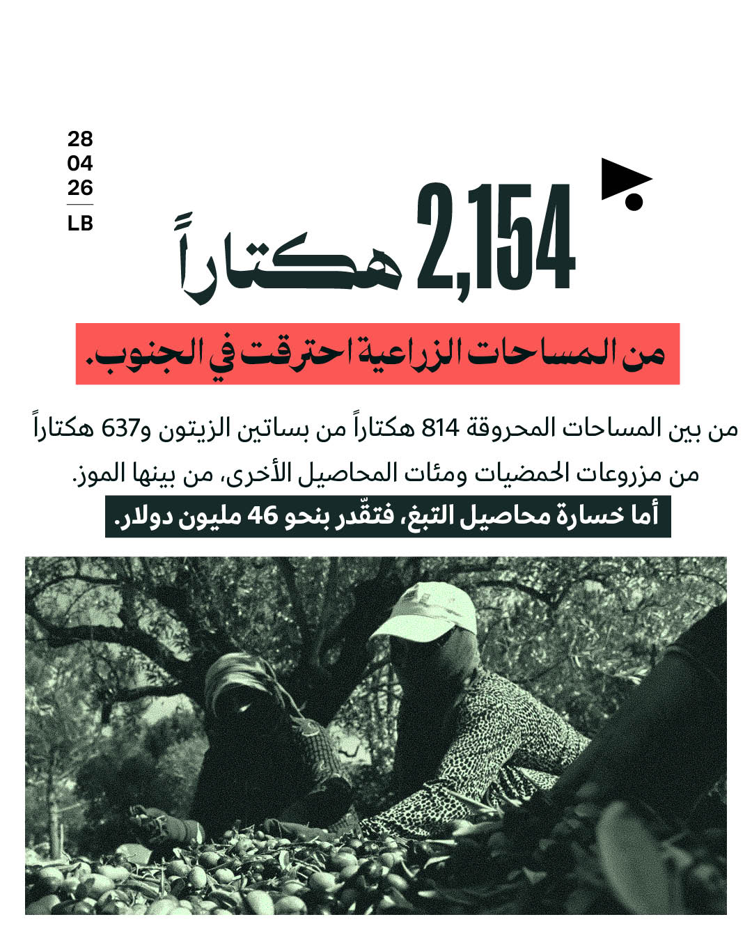 <strong>الإبادة البيئية للعدوان الإسرائيلي على لبنان بين 2023 و2025</strong>