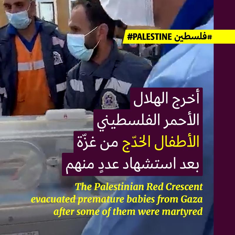 28 طفلاً خديجاً نُقلوا من قطاع غزّة إلى مصر