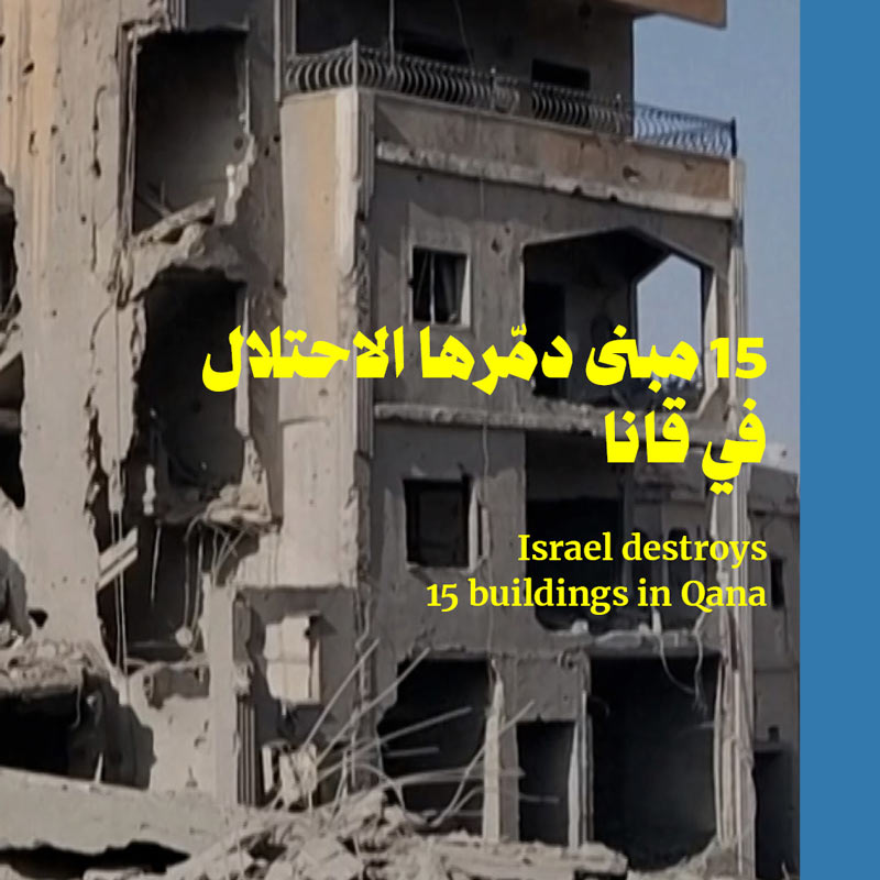 15 مبنى دمّرها الاحتلال في قانا