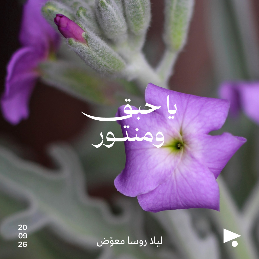 يا حبق ومنتور