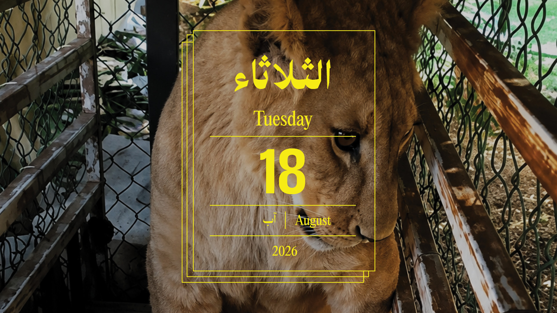 حدث اليوم - الثلاثاء 18 آب 2026