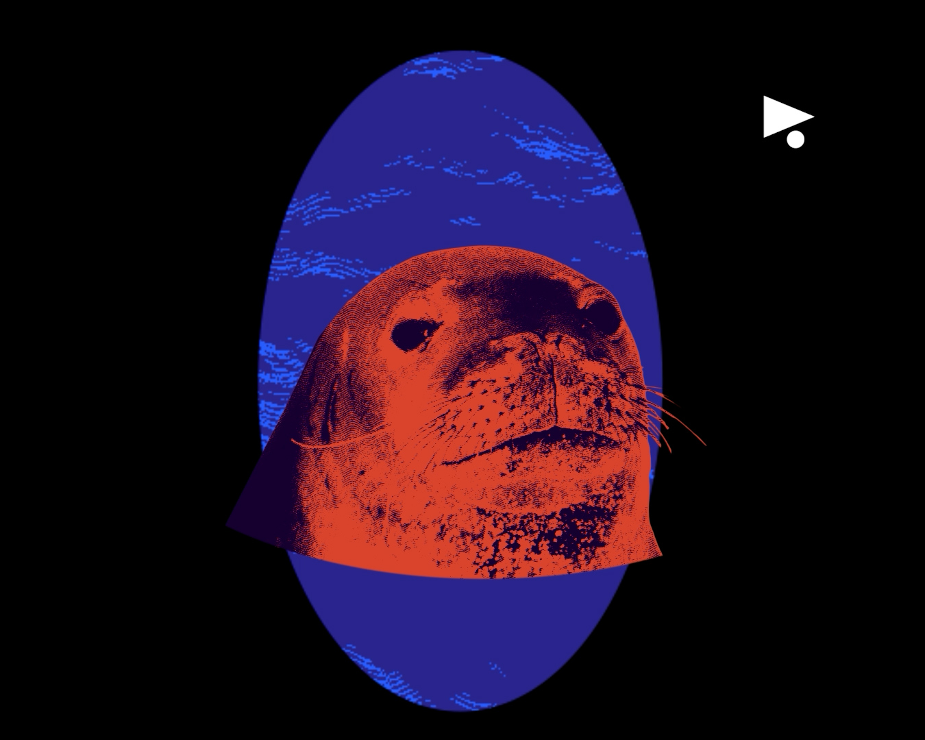 هؤلاء يمكنهم إيقاف الأعمال فوق مغارة الفقمة