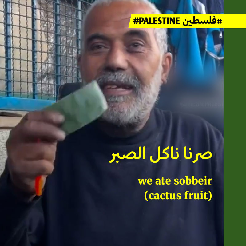 بعد أعلاف الحيوانات، شماليّ غزّة يعيش على ورق الصبّار ومظاريف الكاتشاب