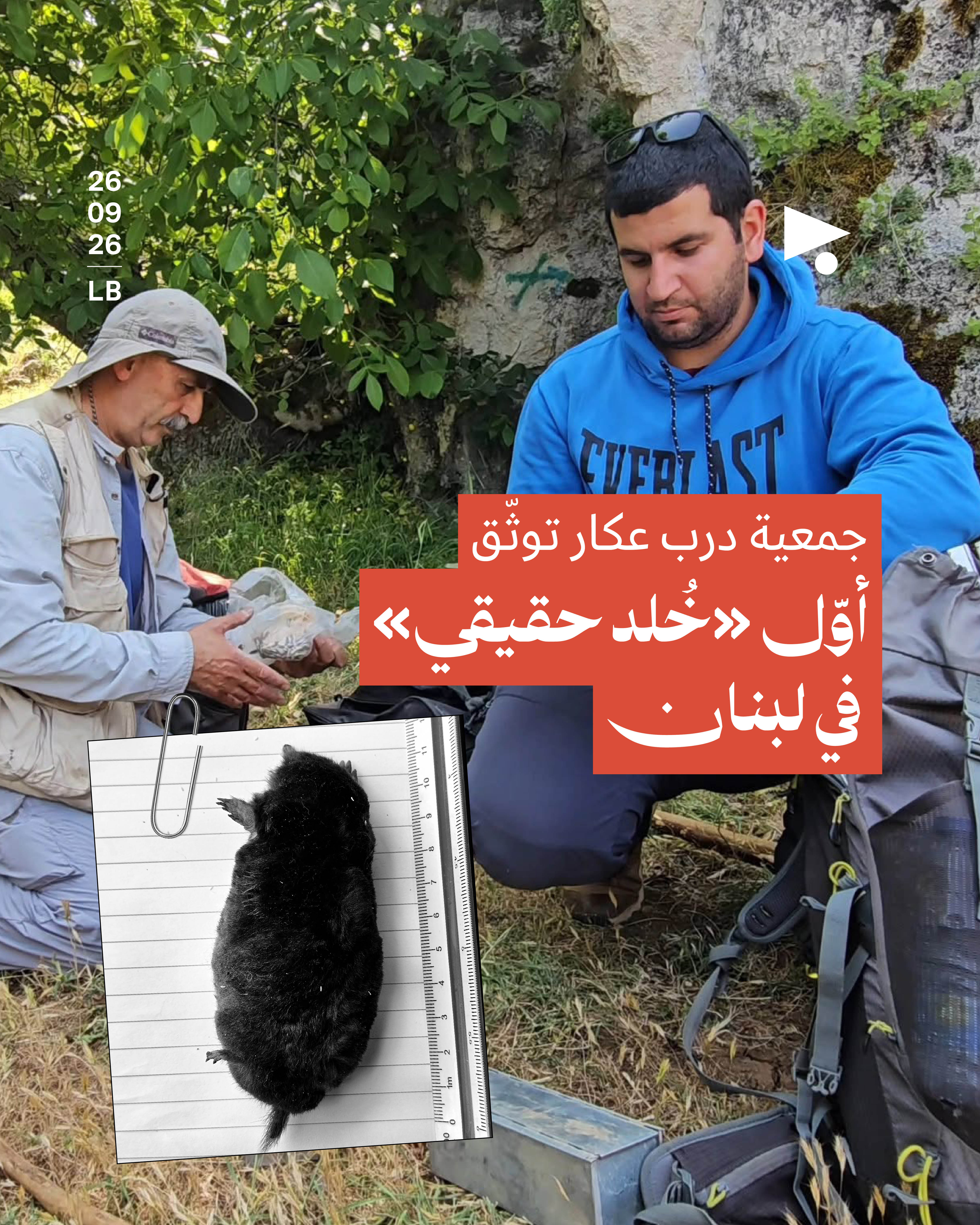 جمعية درب عكار توثّق أوّل «خُلد حقيقي» في لبنان